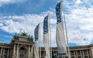 Flags of the Organization for Security and Cooperation in Europe (OSCE) in the Front of their Headquarters in the Hofburg Palace in Vienna, Austria