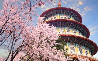 The beautiflu sakura garden with nice sky in Taipei, Taiwan