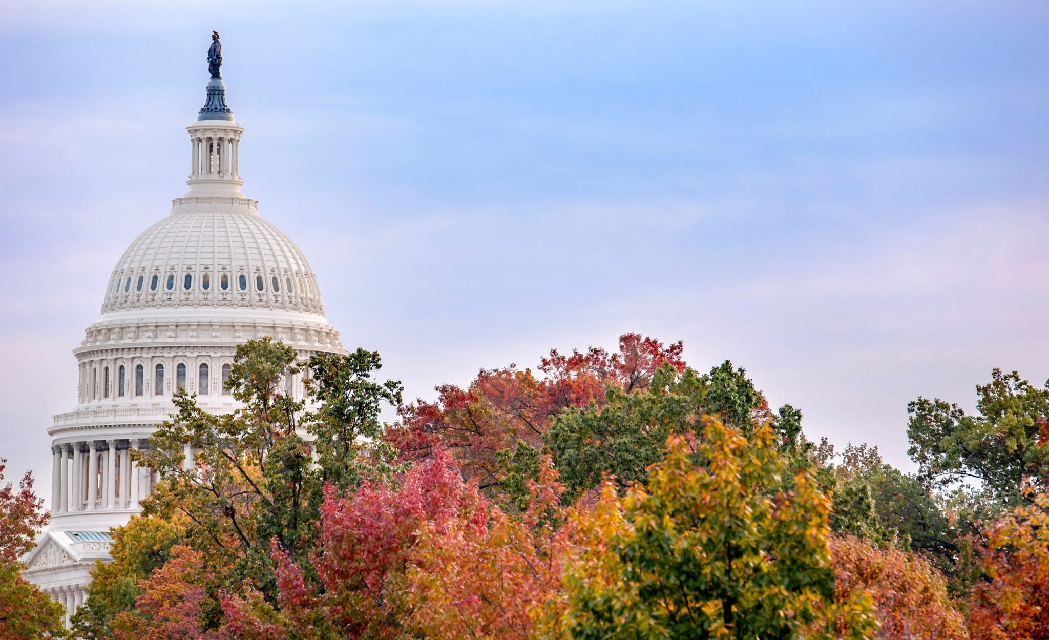 united states capitol building with fall trees in foreground